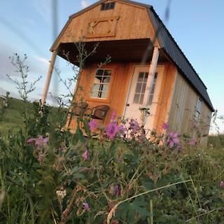 Montana Old West Cabins Guest House Babb Luaran gambar