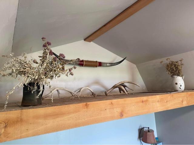 Montana Old West Cabins Guest House Babb Luaran gambar