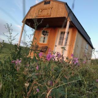 Montana Old West Cabins Guest House Babb Luaran gambar